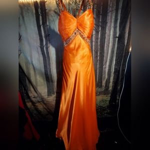 Sale🧡 Gorgeous Tiffany Designs Gown🧡